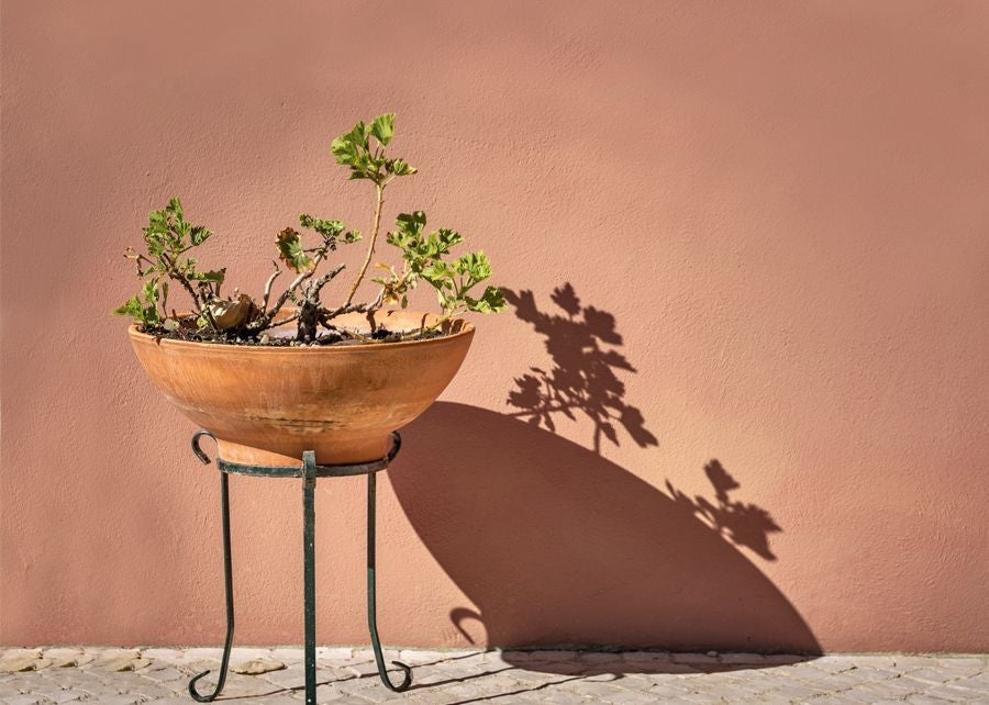 Meteore 10 Intonaco