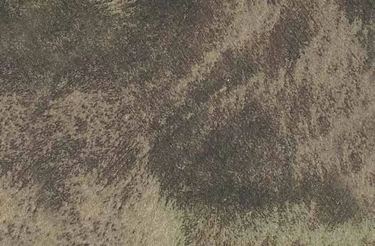 Rif 8