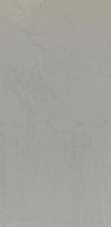 Trowelled Intonaco close surface 449 B