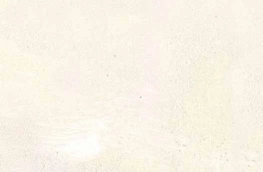 Rif 19