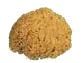 Sea sponge — Catalogue reference · PV32